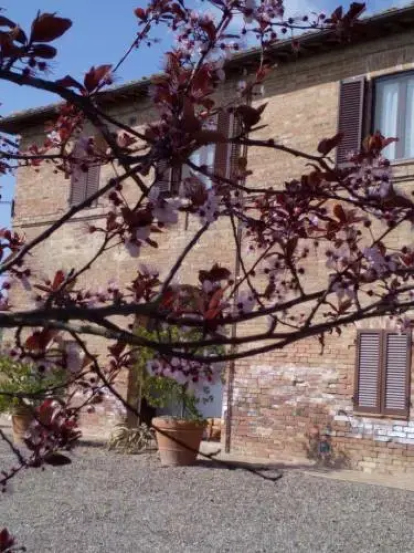San Lorenzo Agriturismo