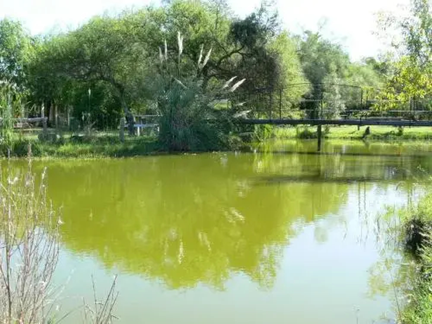 Cabañas Los Girasoles