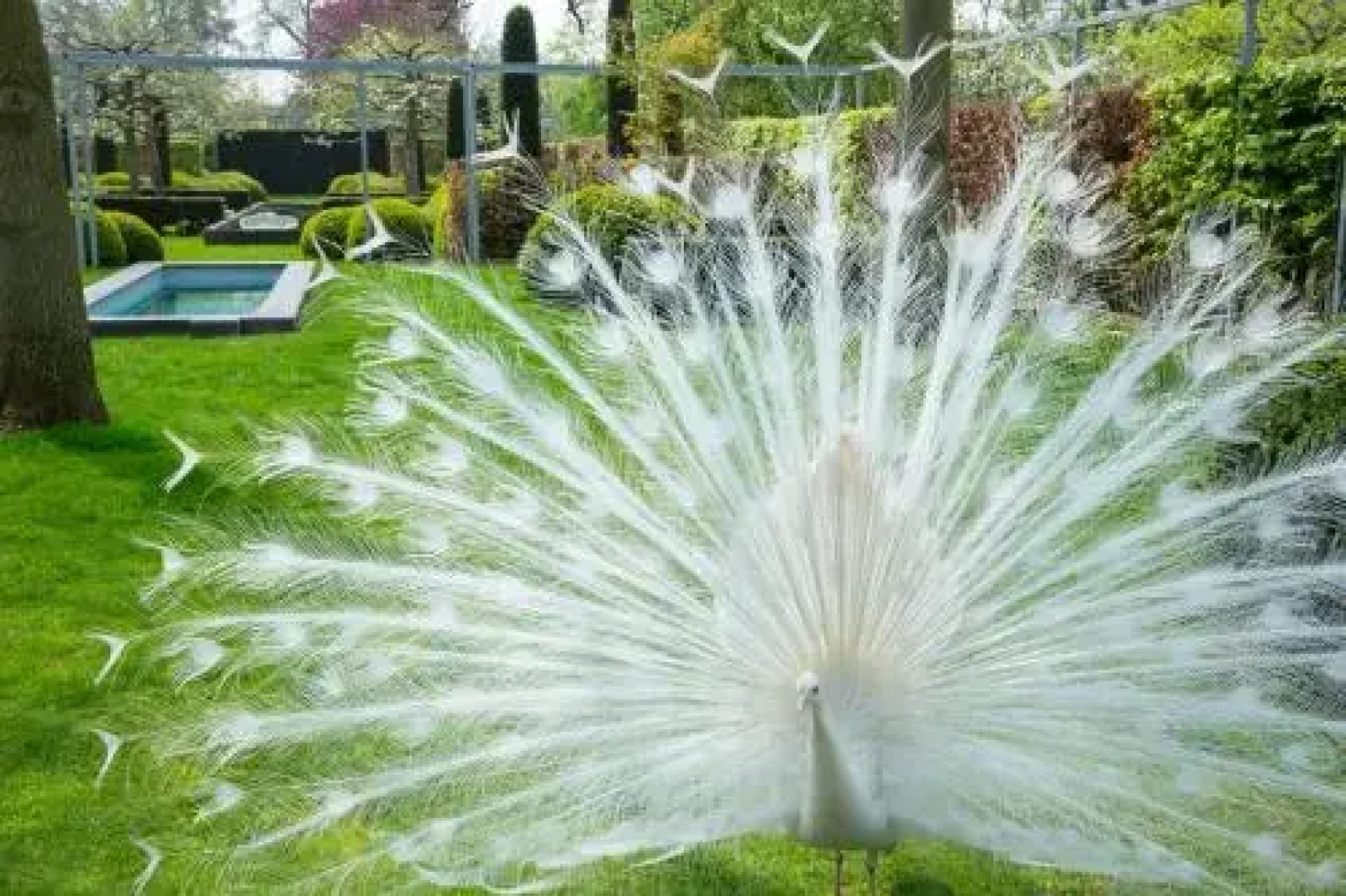 H-House Architectural Residence