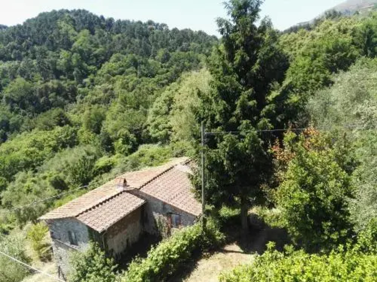 Casa Iris