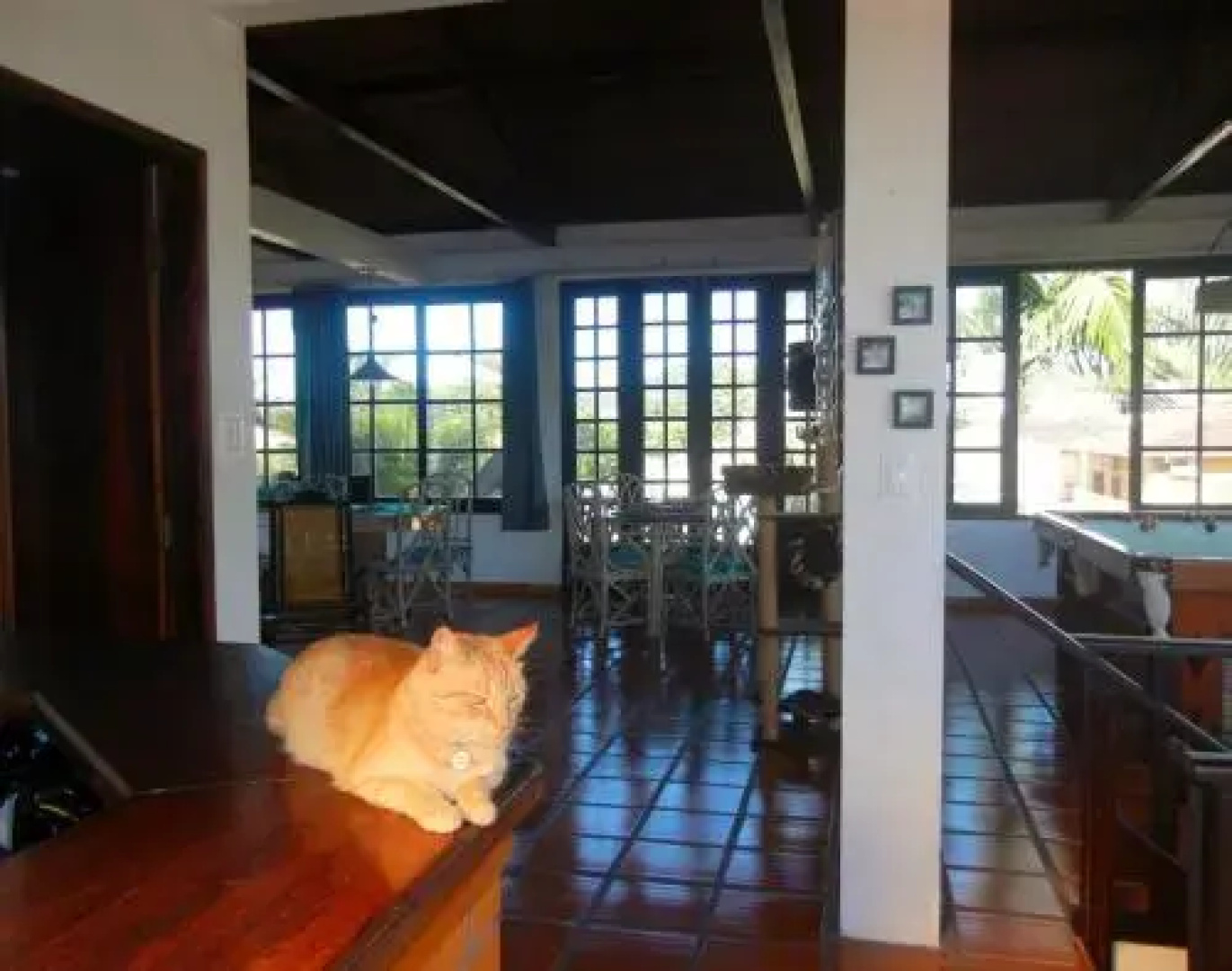 The Cat's House