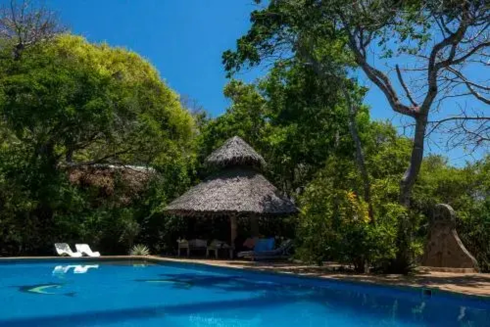Firefly Ocean Camp