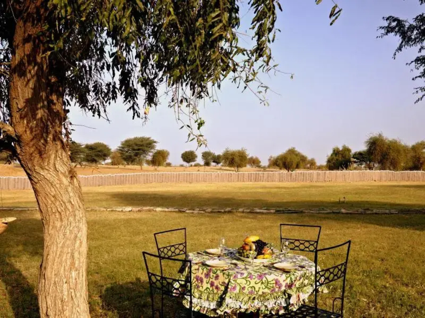 The Desert Resort and Camp, Jodhpur
