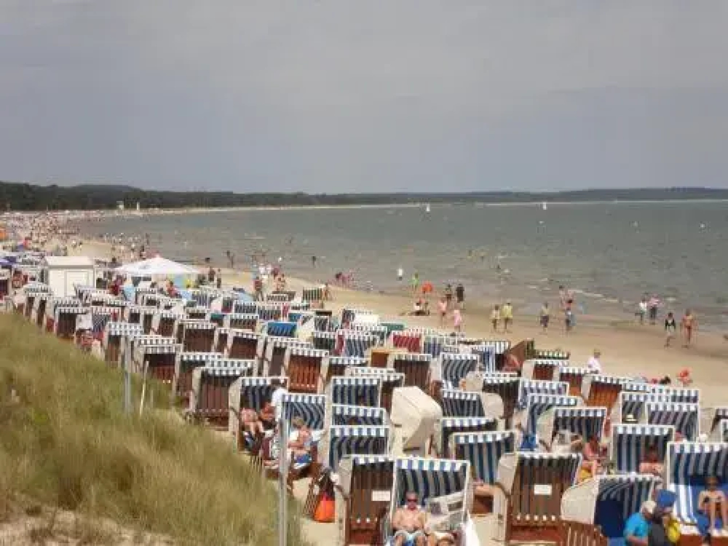 Strandmuschel