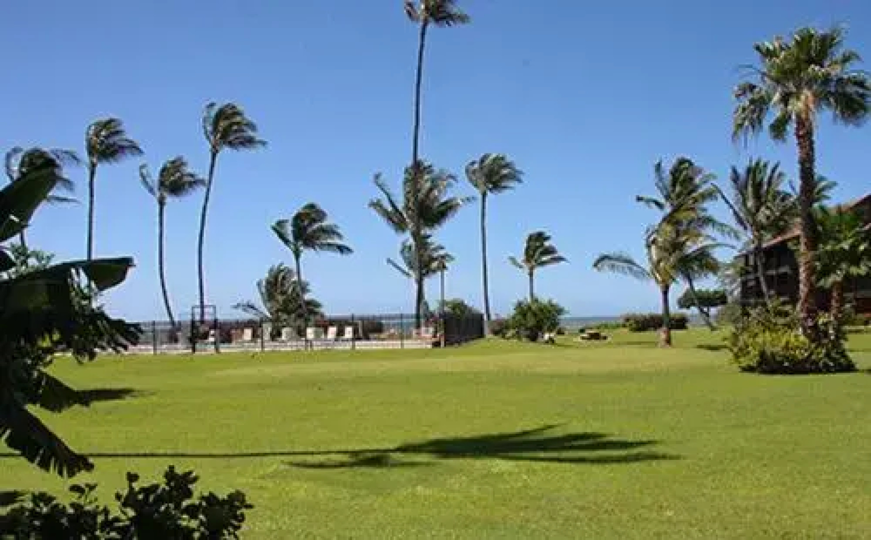 Molokai Shores 121