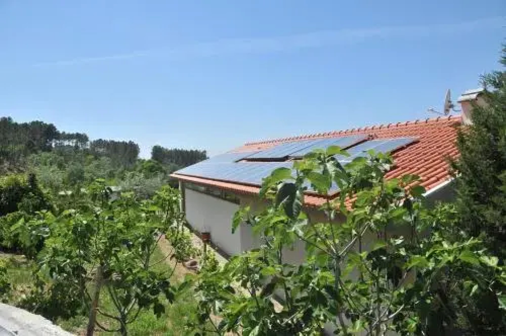 Quinta do Vale Sanguinho