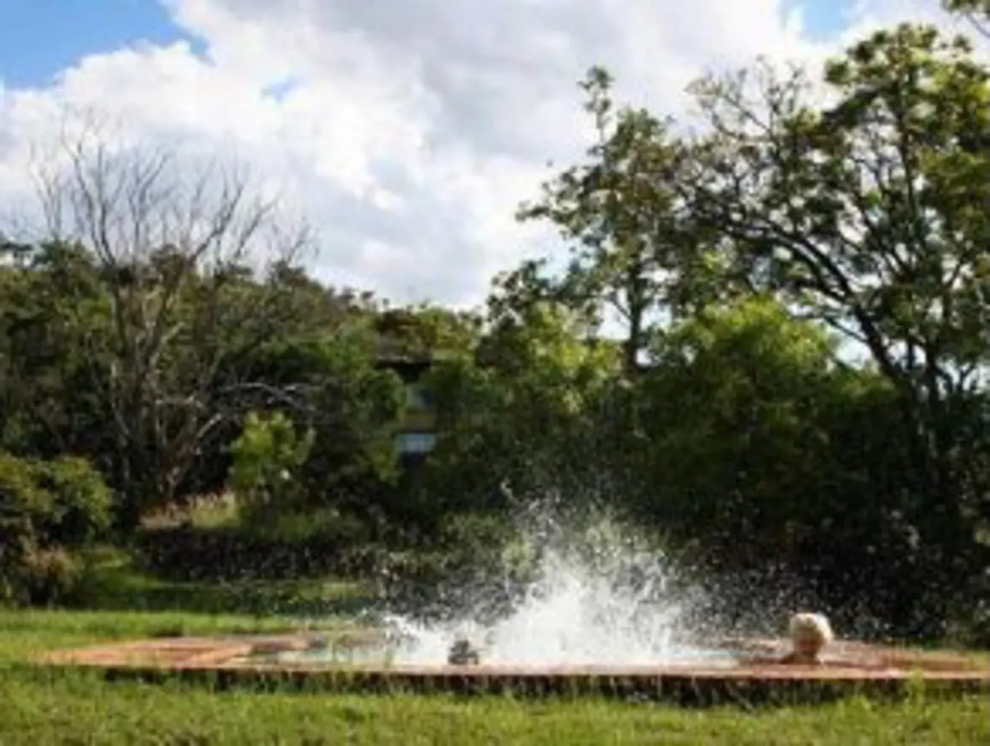 Bateleur Nature Reserve and Self Catering Game Lodge