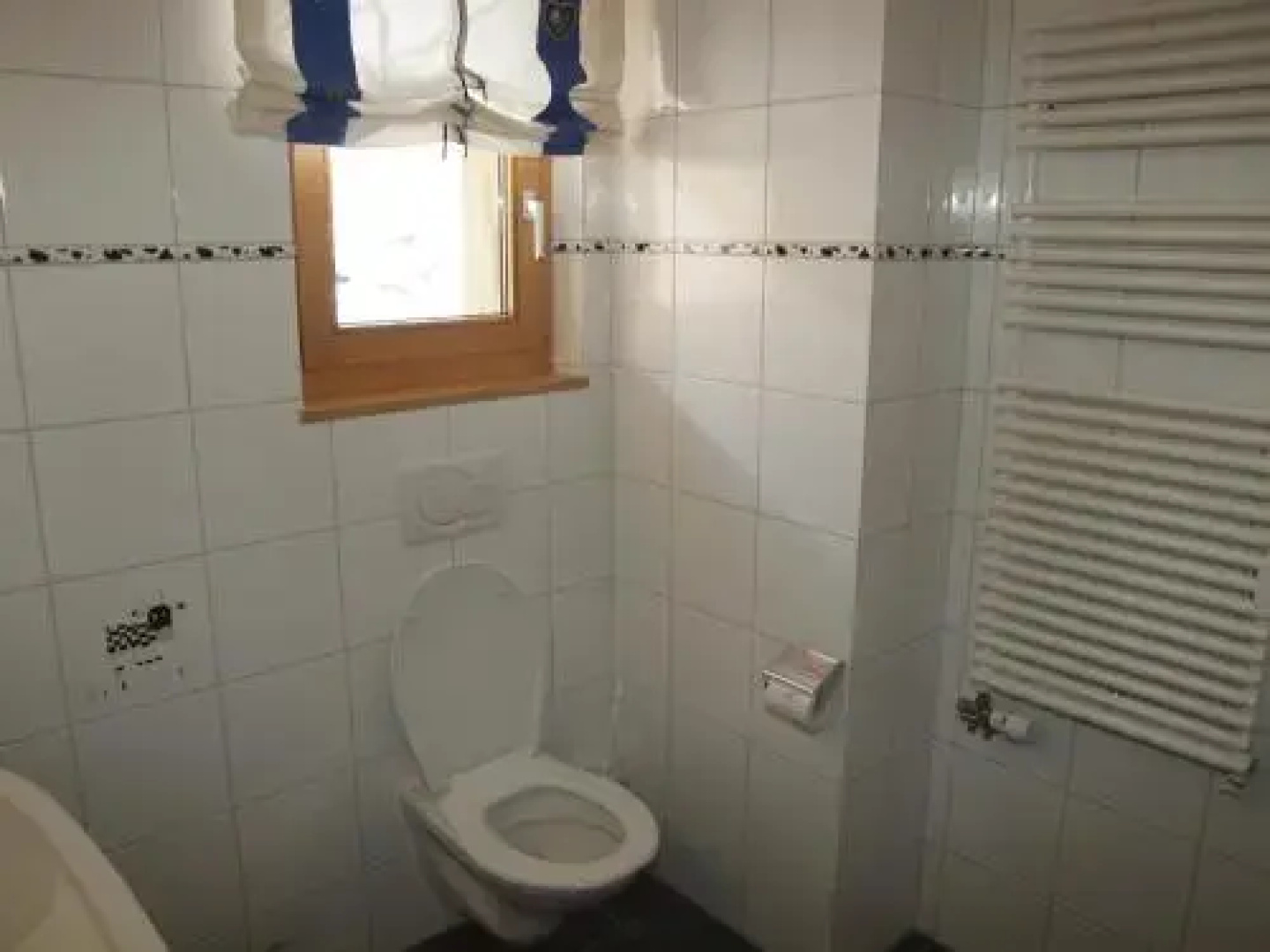 Haus Alparosa Wohnung Degen