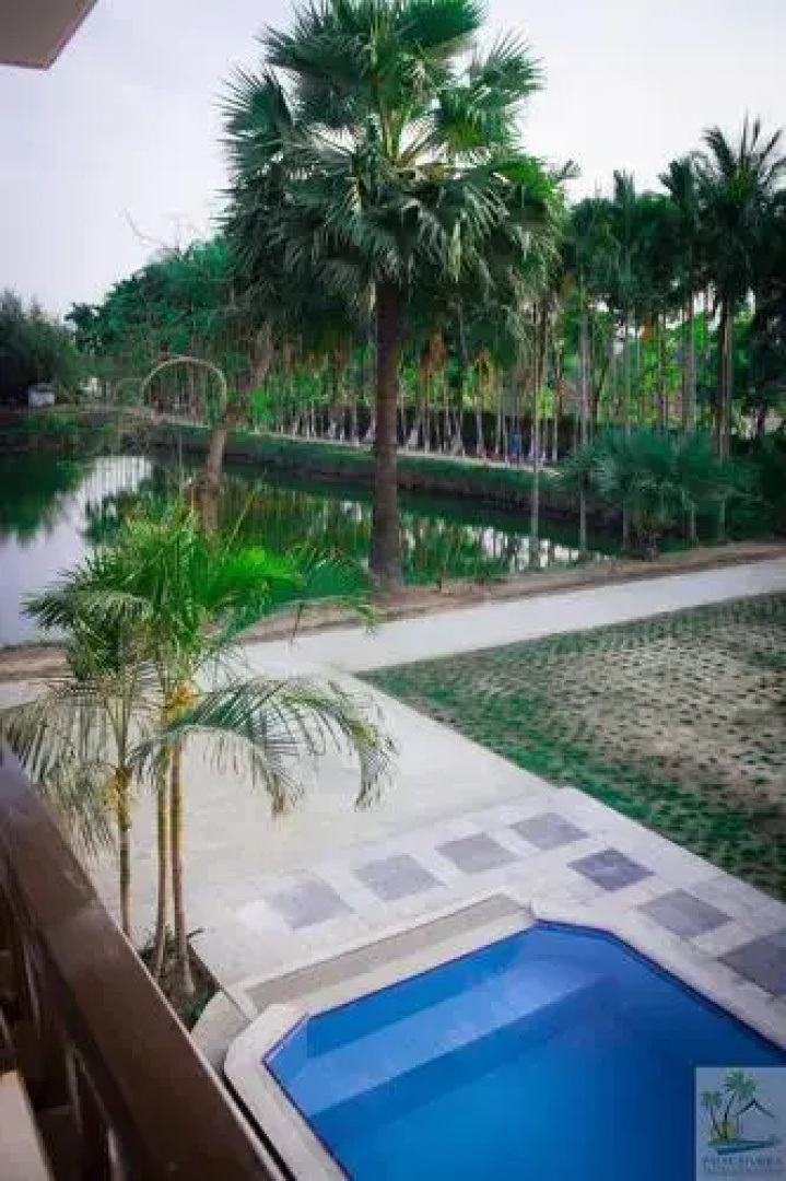 Palm Riviera