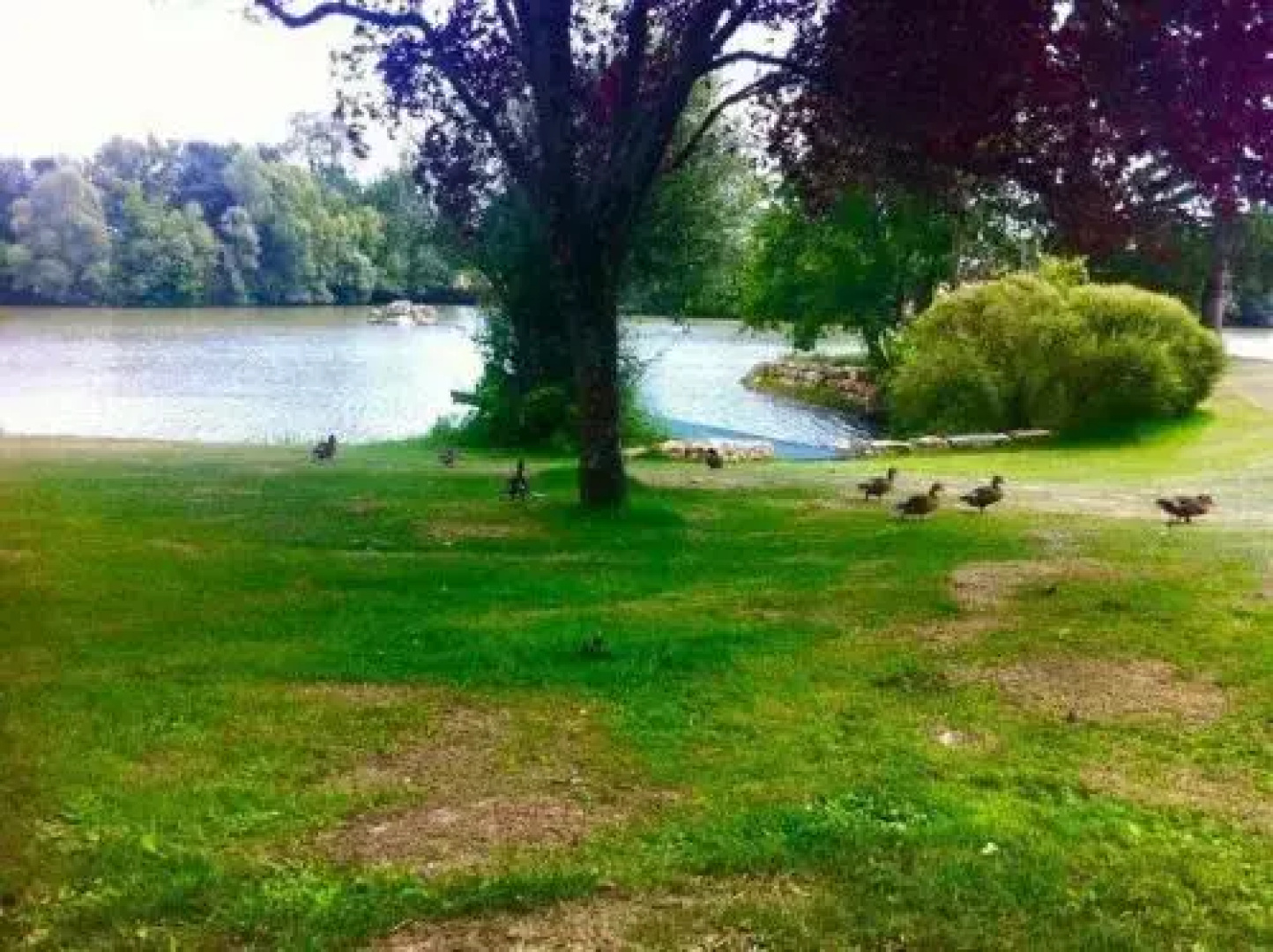 Le Domaine de Charlyne
