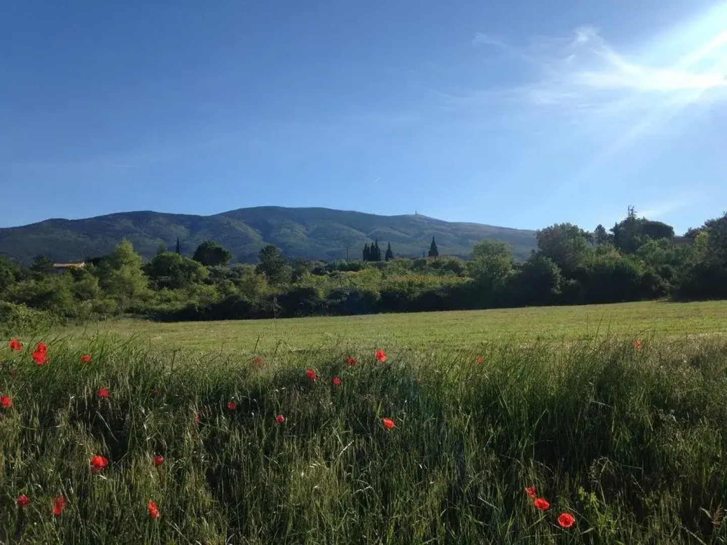 Les Tournillayres