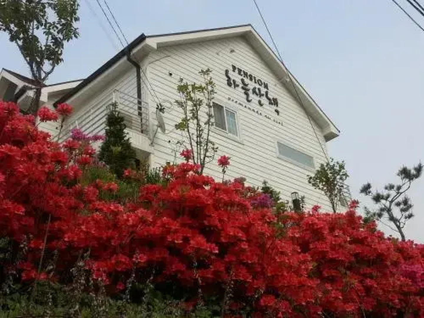Fortune sky Pension