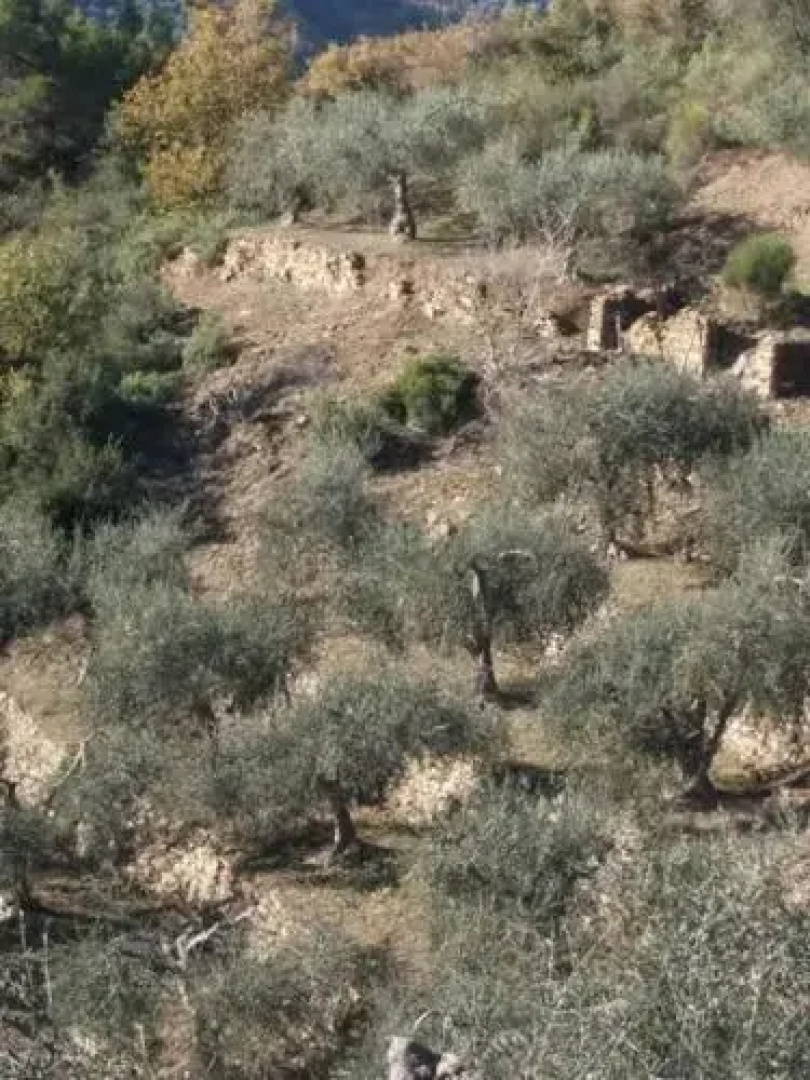 B&B Da Giua'