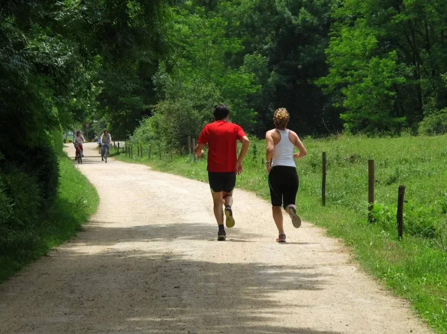 Mas Violella allotjament rural