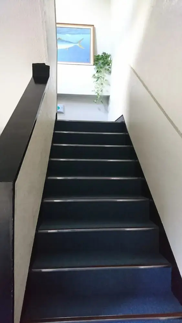 Asagiku