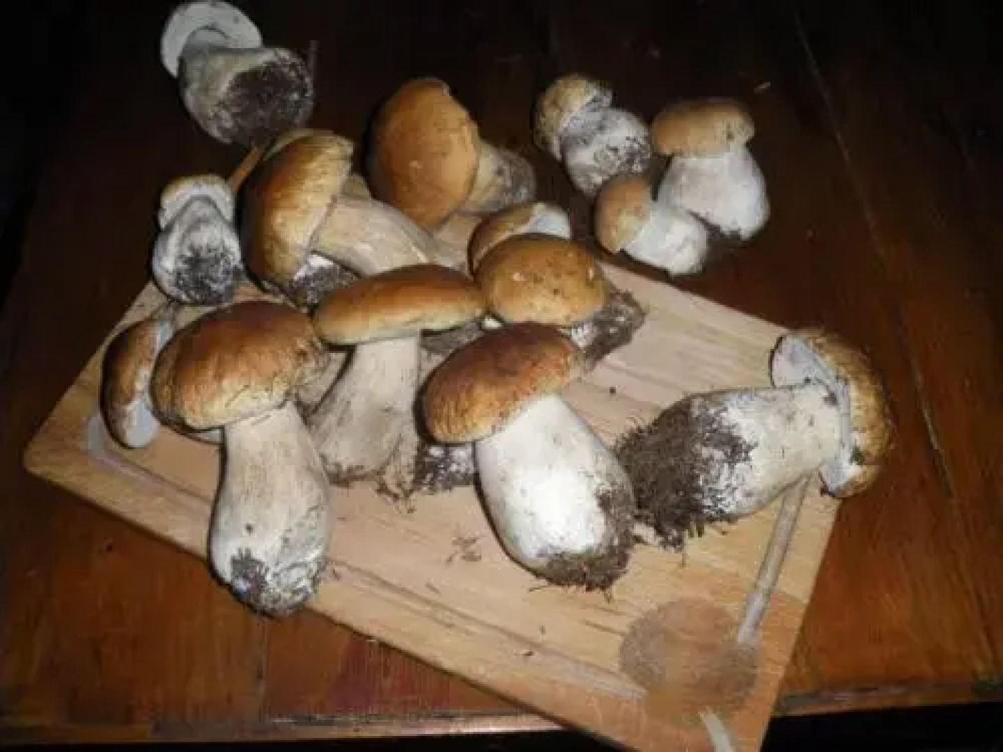 Hotel Restaurant du Lion dOr