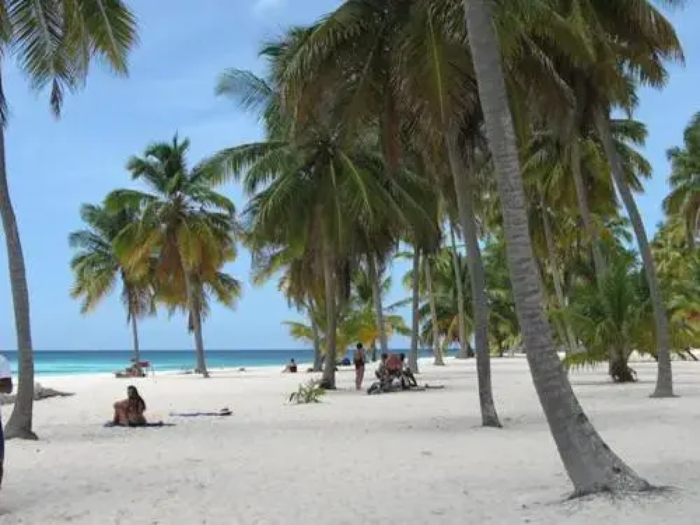Bayahibe White House