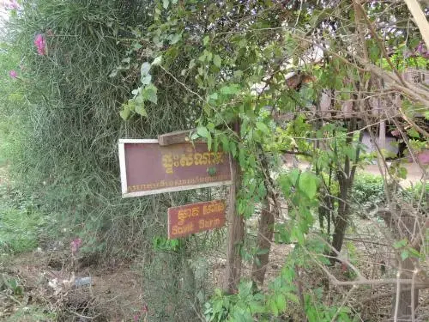 Savit Sarin Homestay