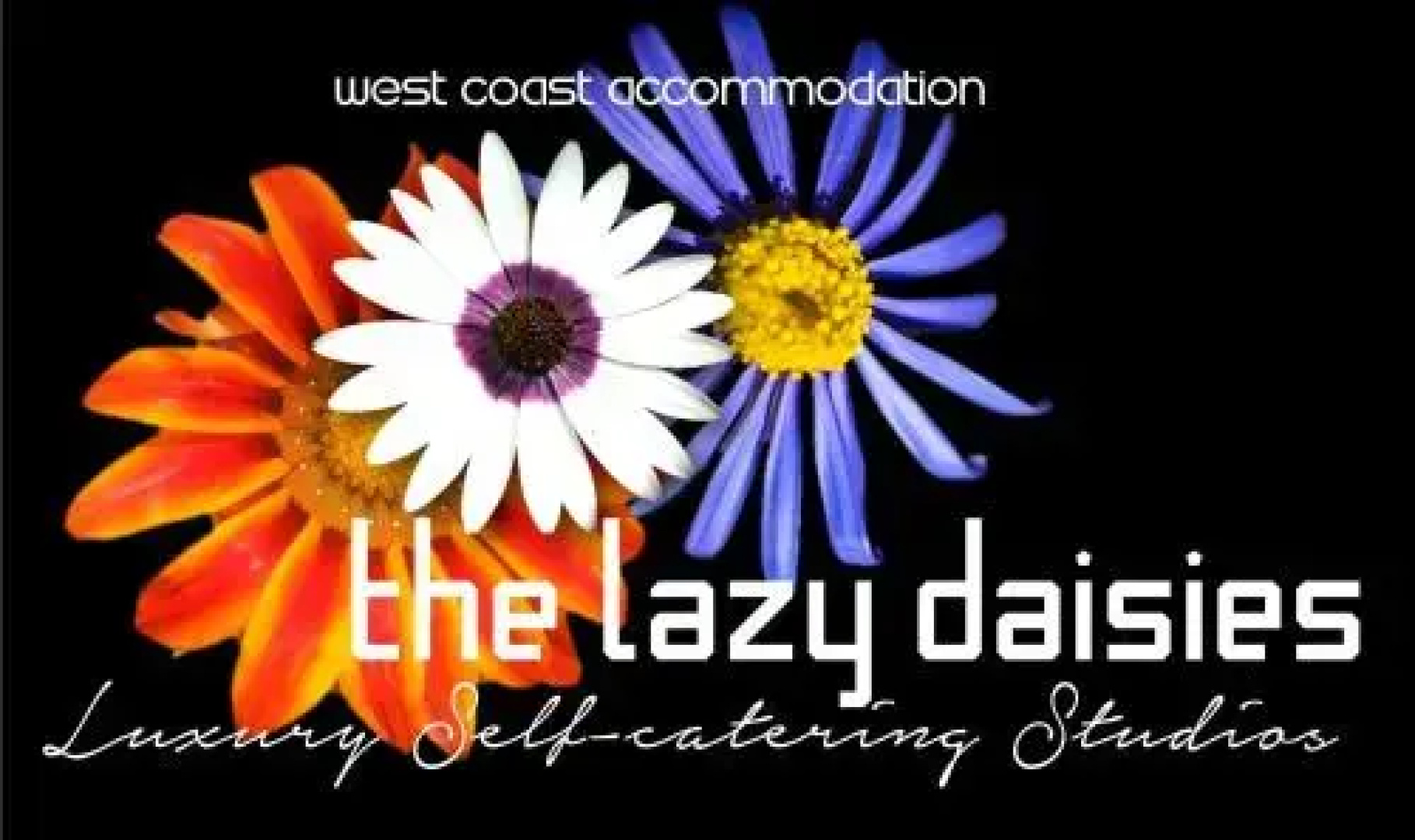 The Lazy Daisies