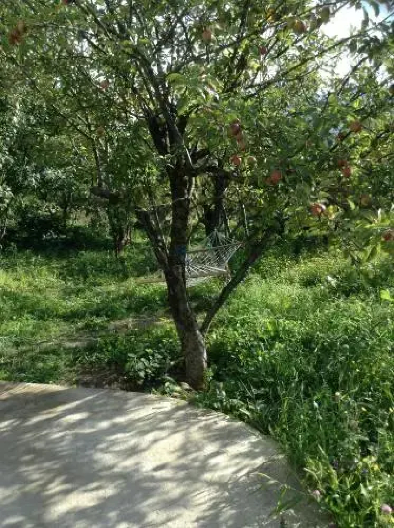 Em&Ri Guest House in Odzun