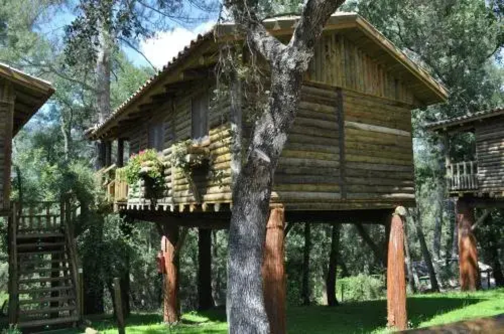 Los Nidos De Santa Maria