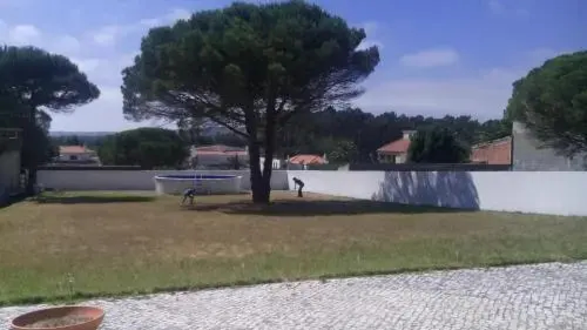 Casa do Pinheiro