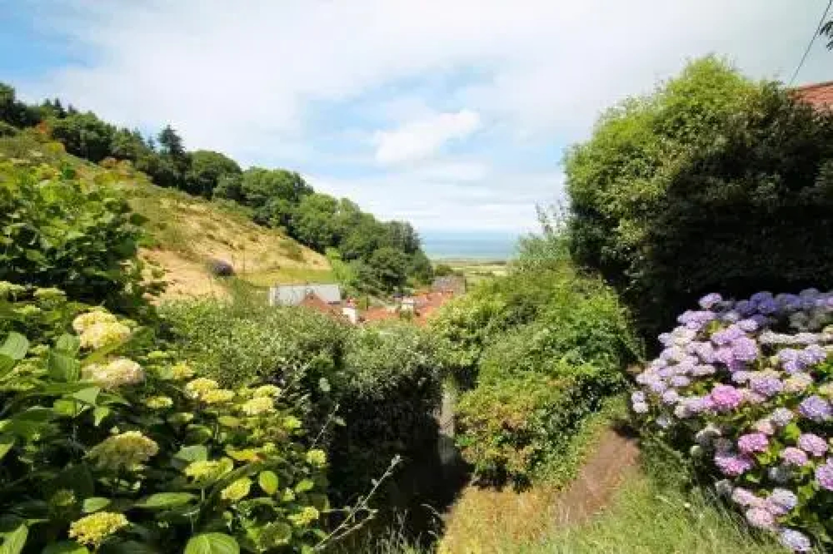 Halsecombe Cottage