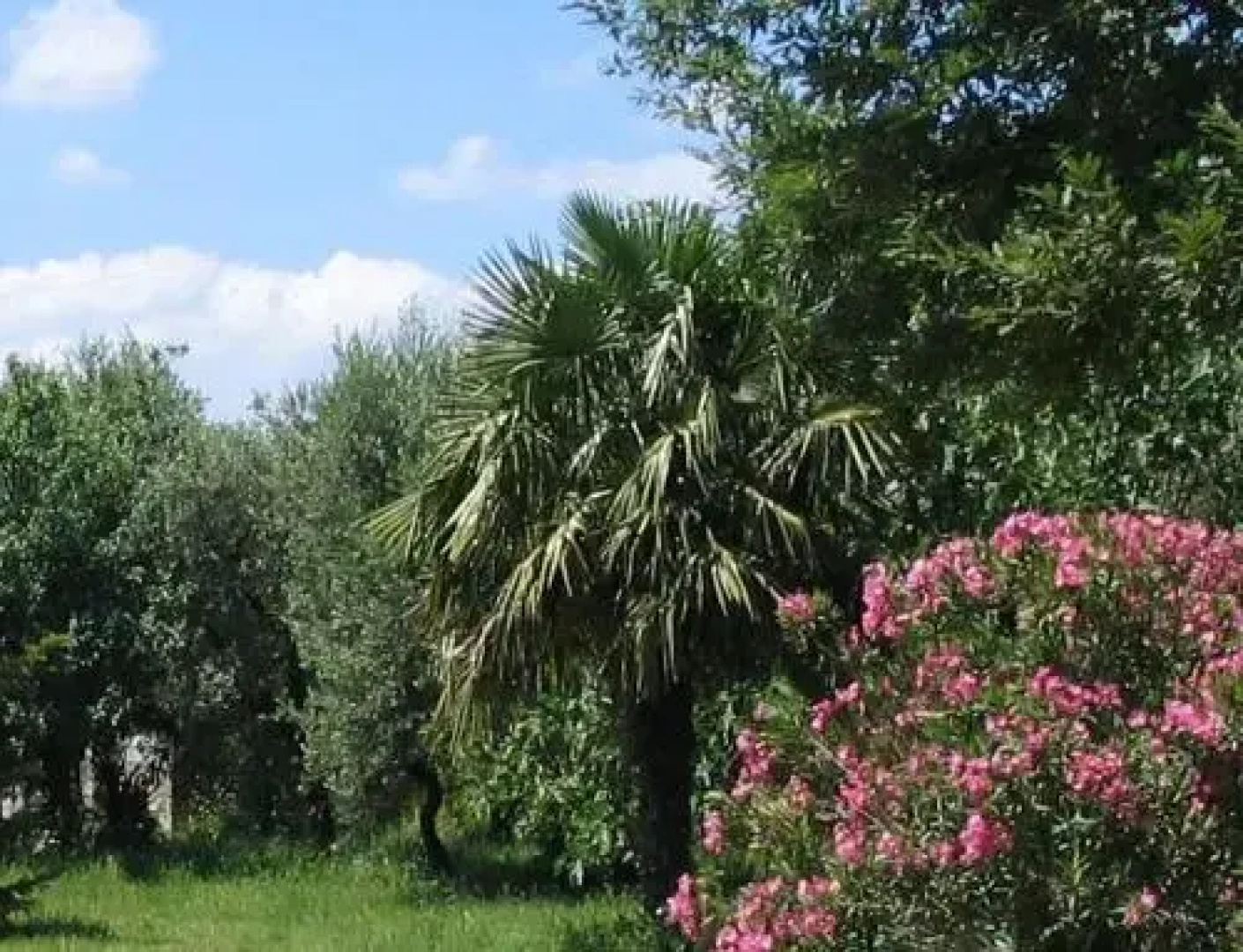 Agriturismo Villa Gioia