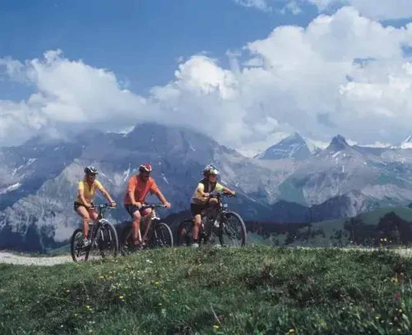 Ferienwohnung Studio Selvea