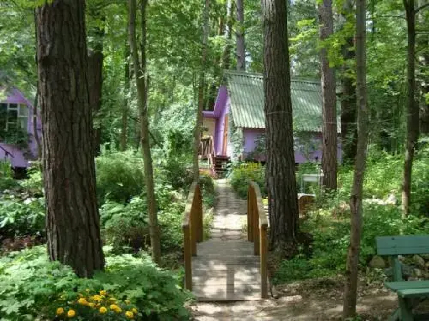 База Отдыха Рассвет на Оке