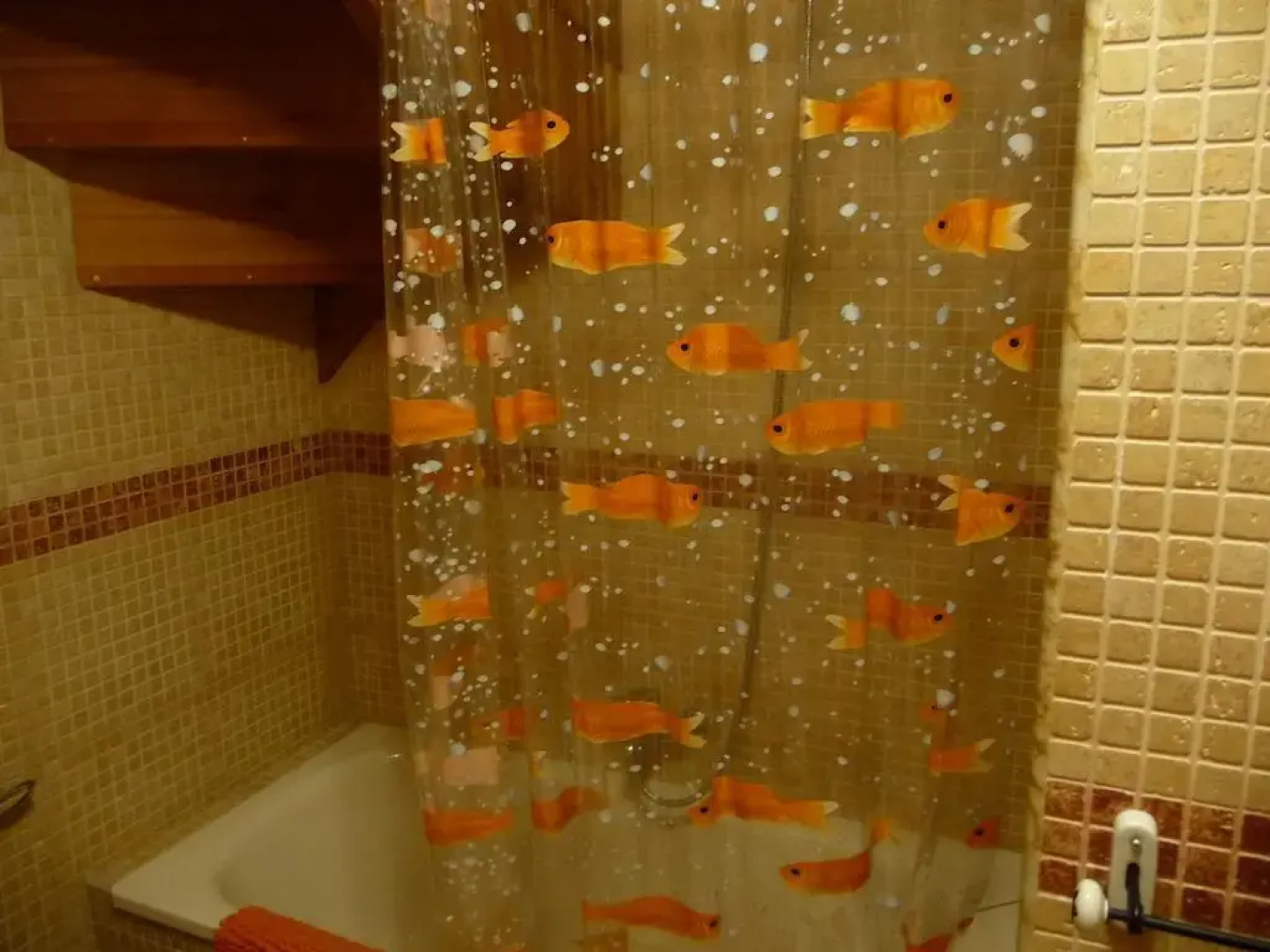 Escalona 11