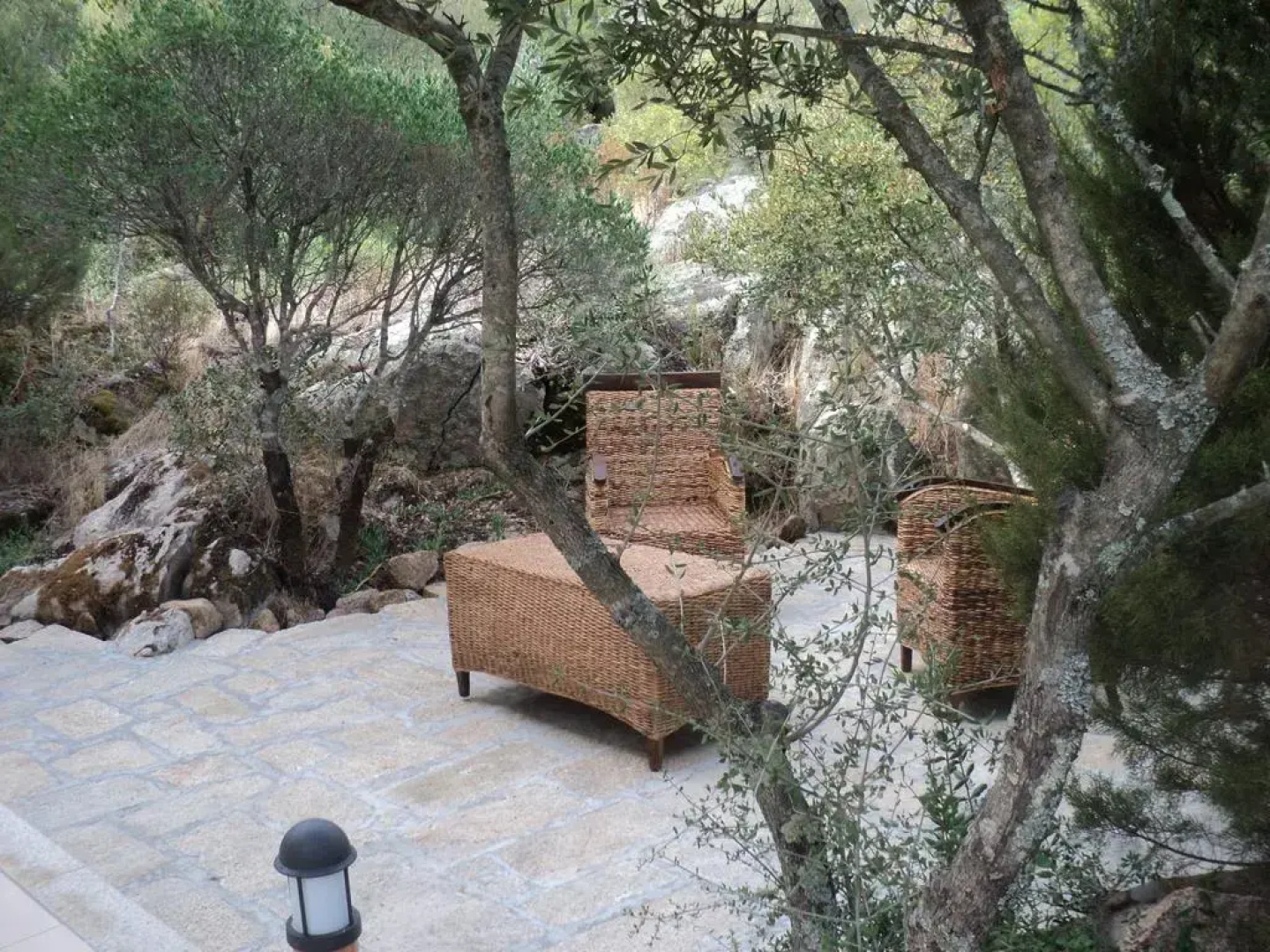 Leremo Di Marilisa Rea