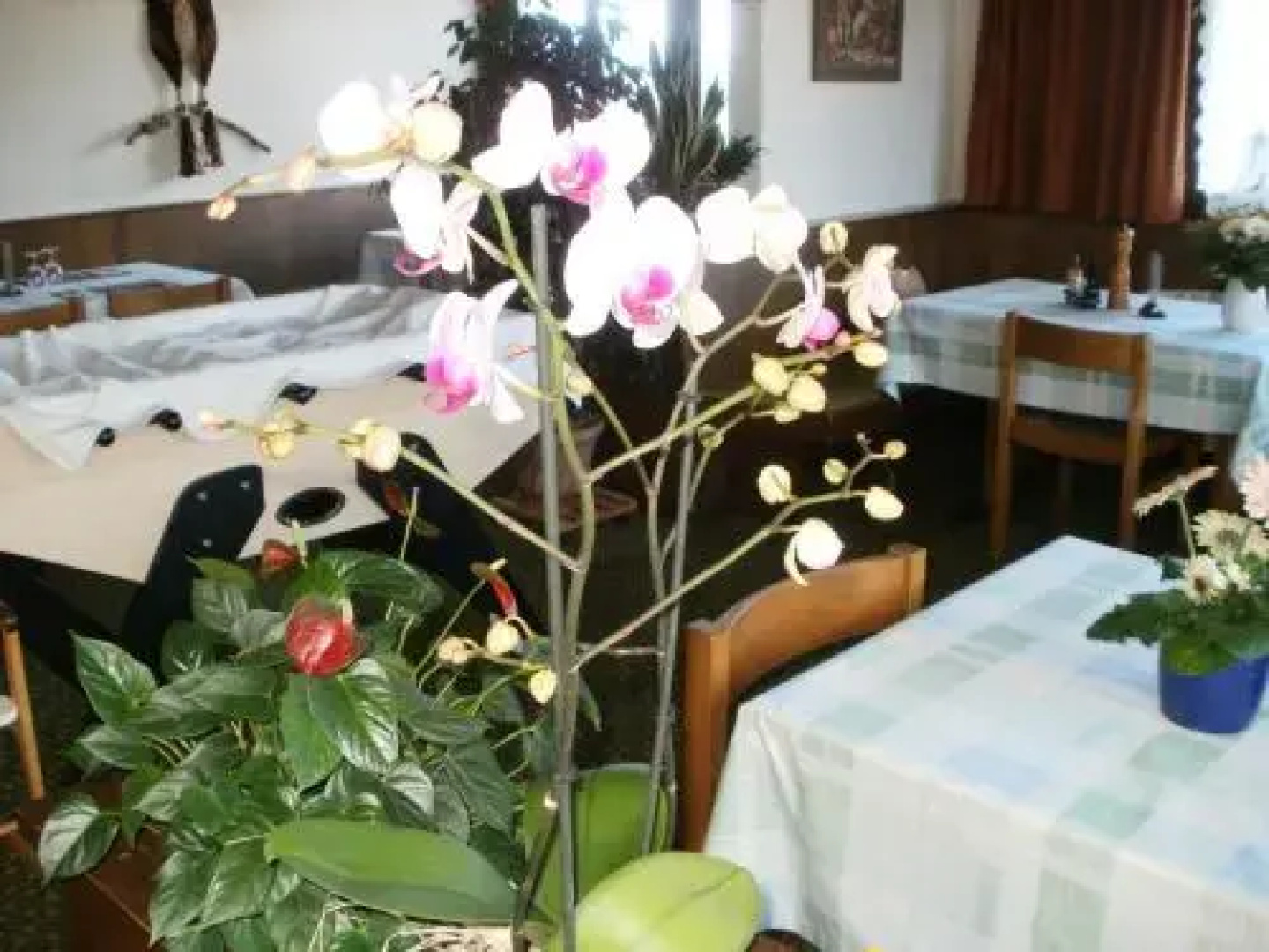 Hotel Pez Ault