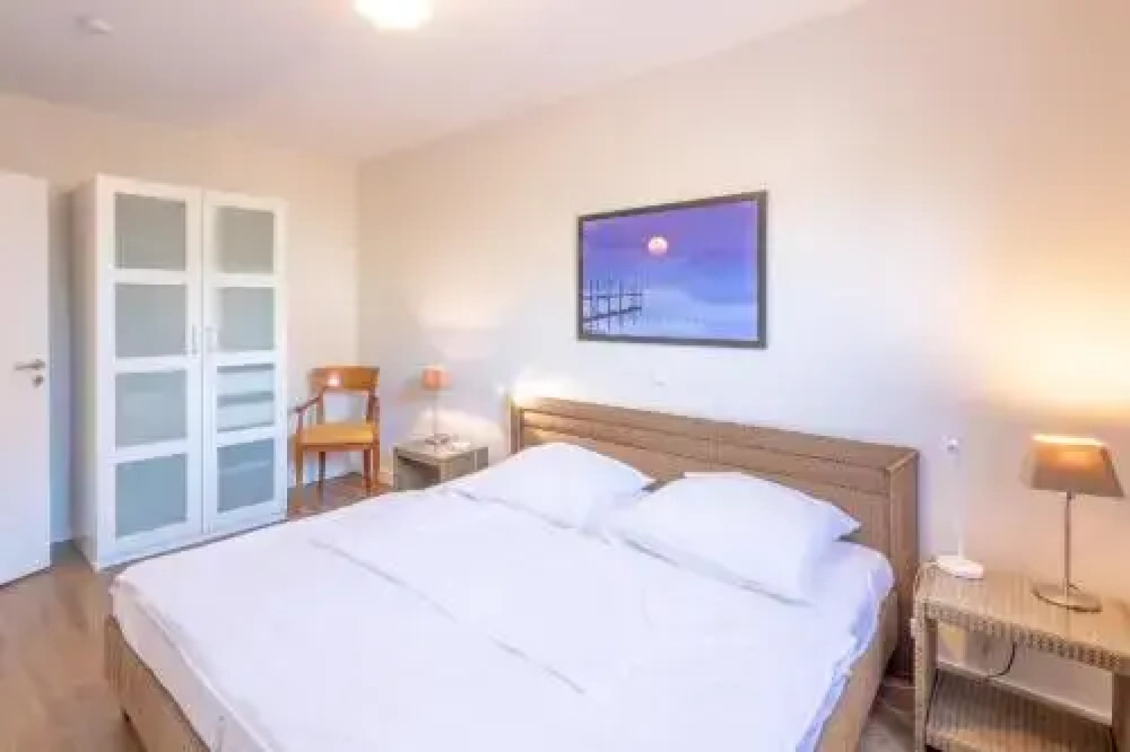 Austernfischer in Husum