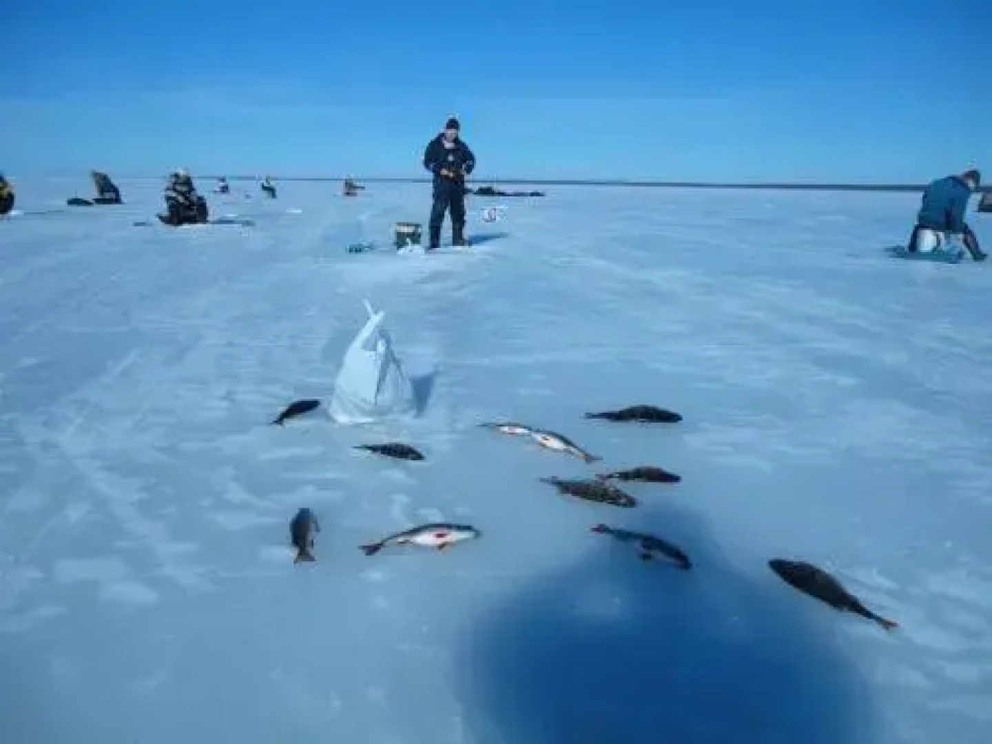 Country House Dom Fominykh