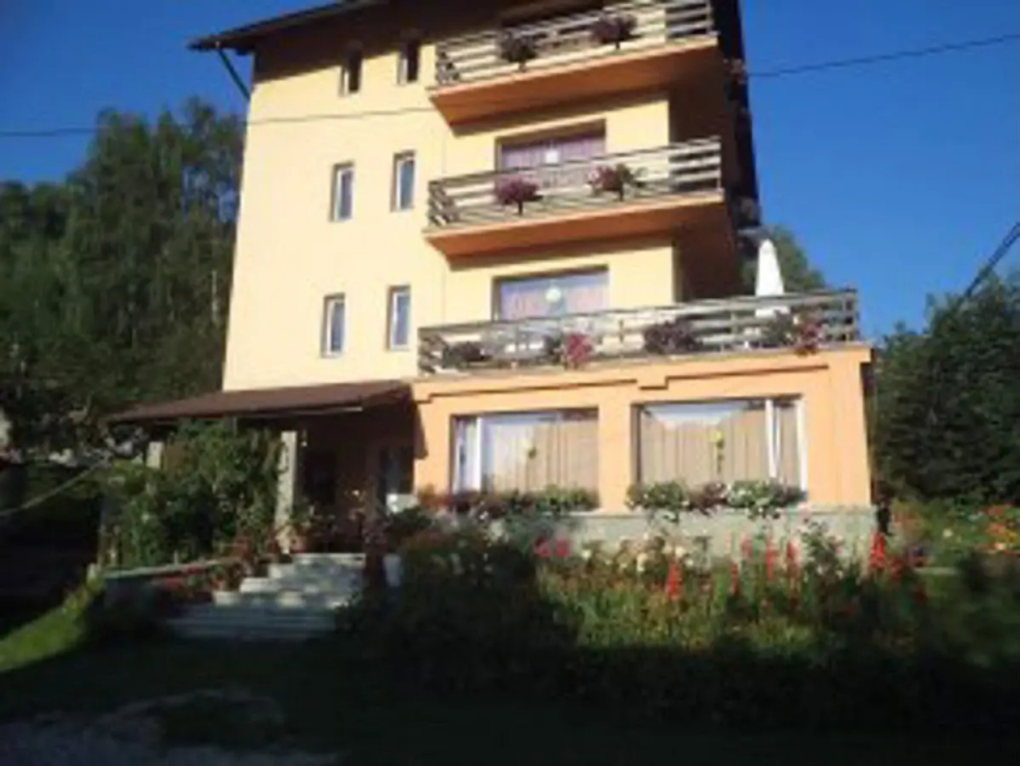 Pensiunea Transilvania Lodge