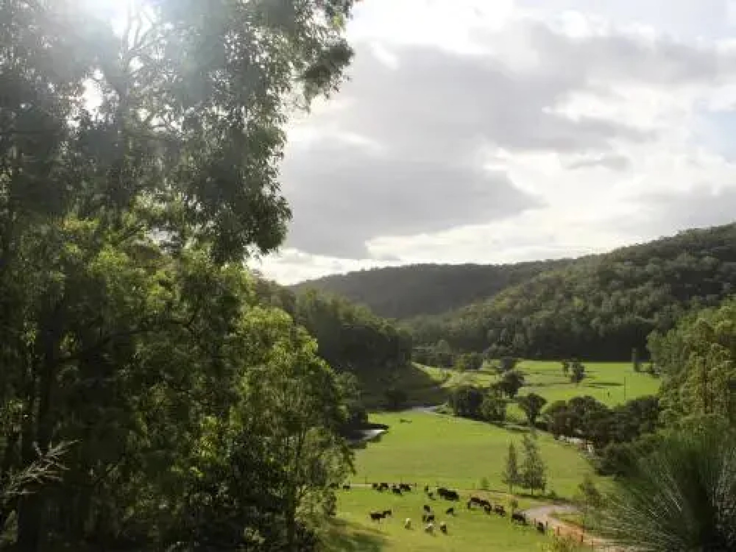 Blair Athol Estate Wollombi