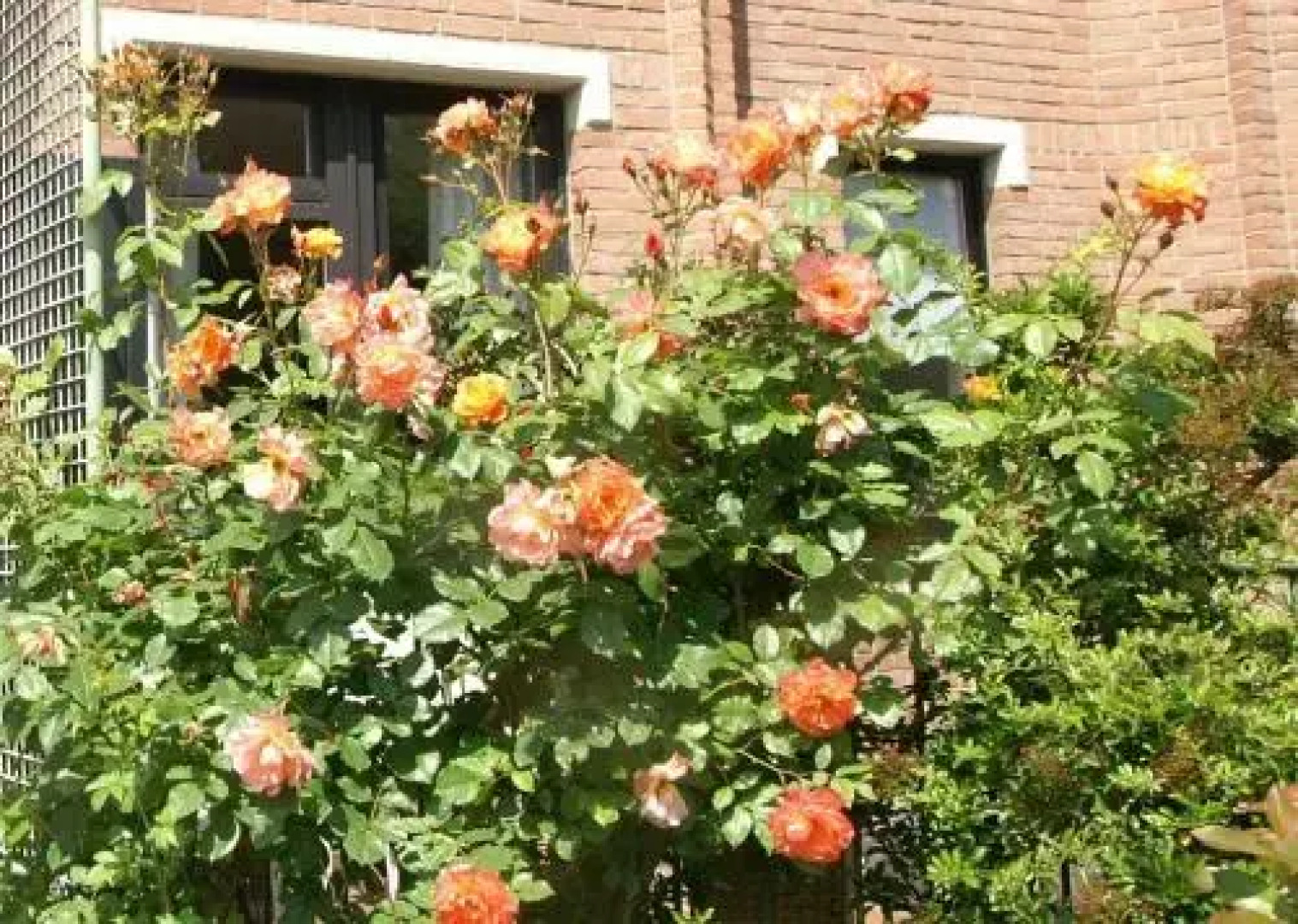 Ferienwohnung Carpe Diem