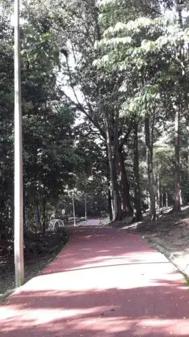 Suasana Lumayan