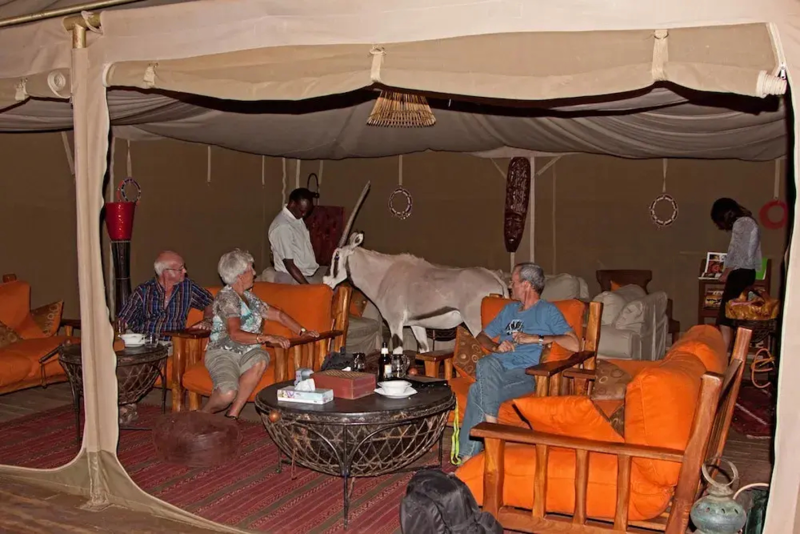 Elephant Bedroom Camp - Samburu