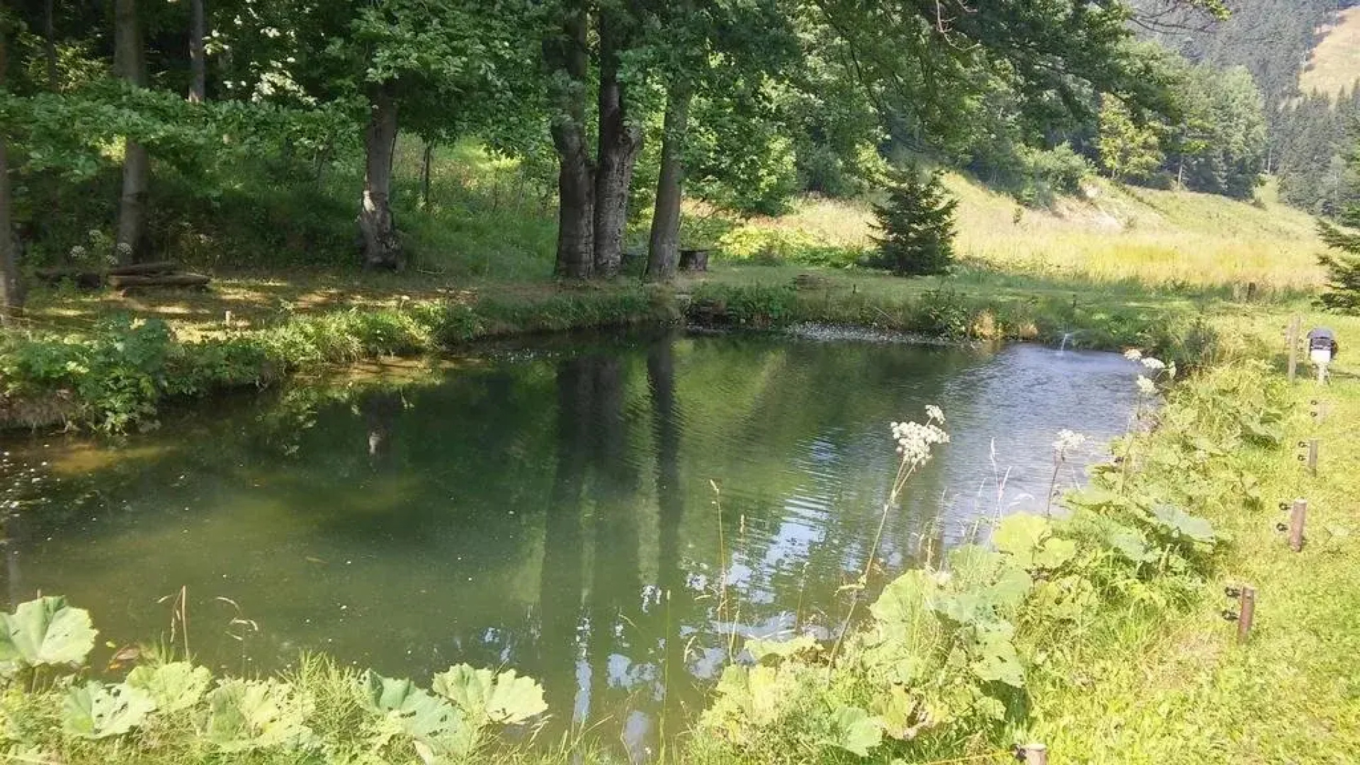 Zbójnicki Ostęp-Nocleg Trapera