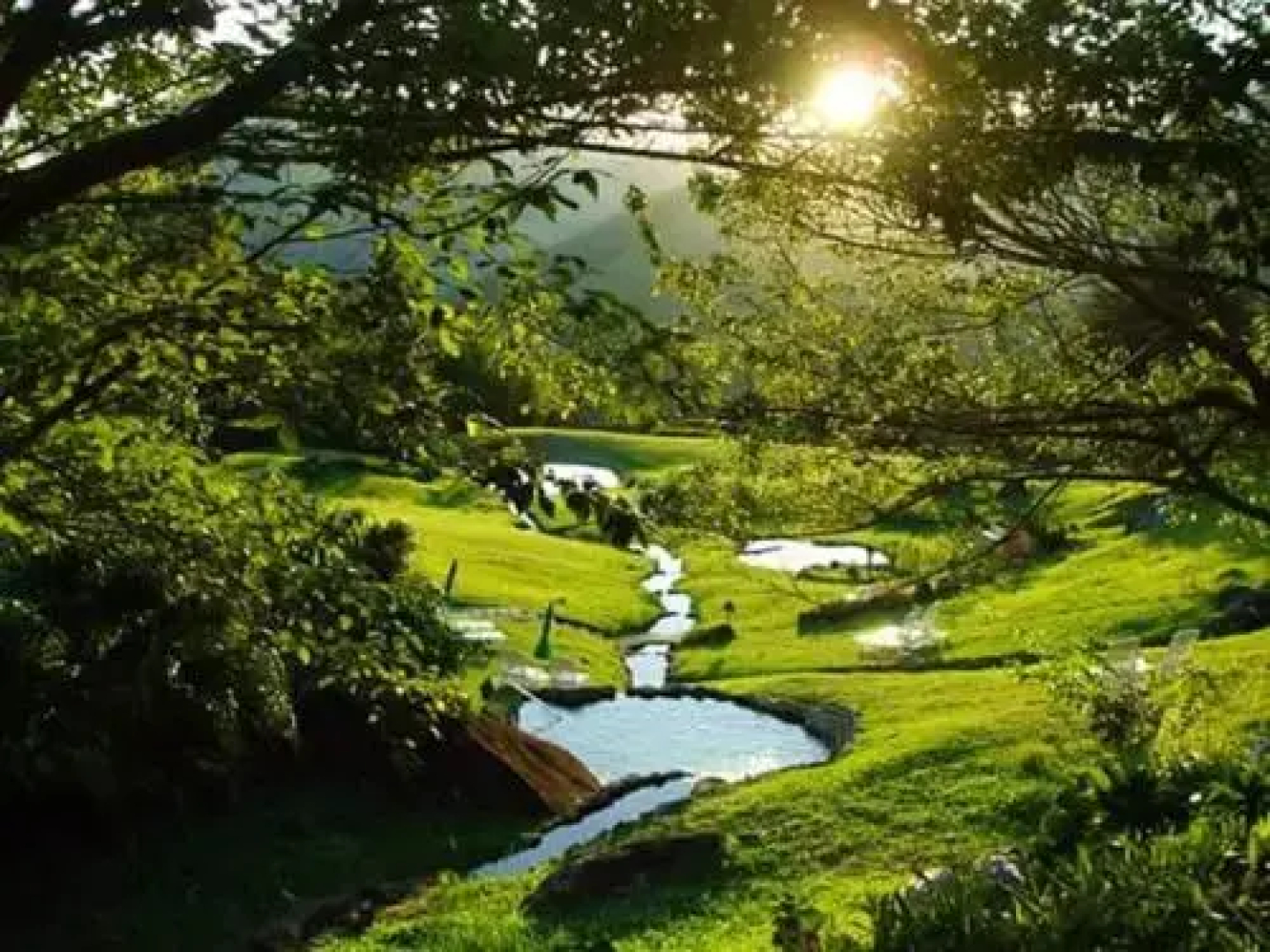 Eco Resort Nagual