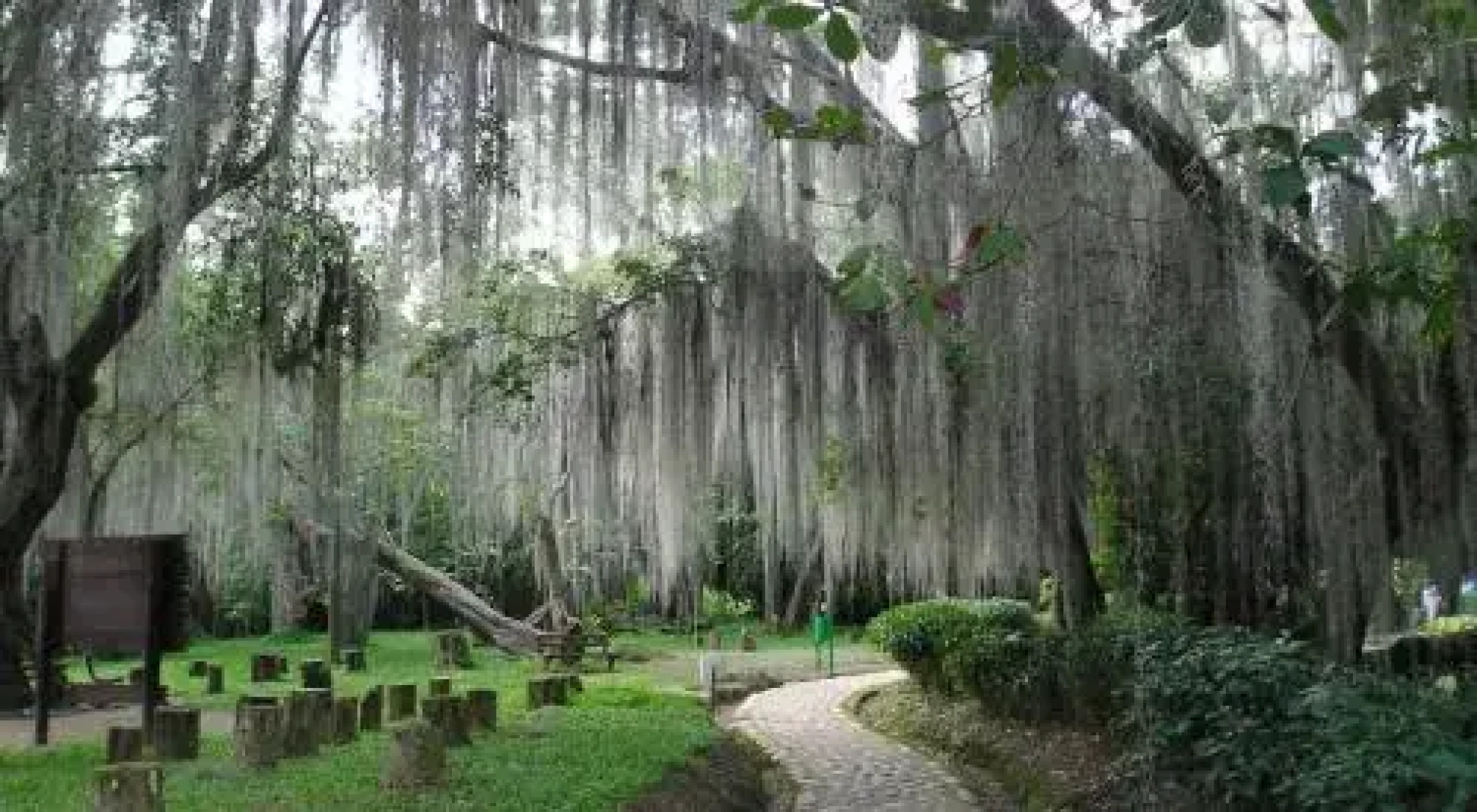 Hotel Riposo San Gil