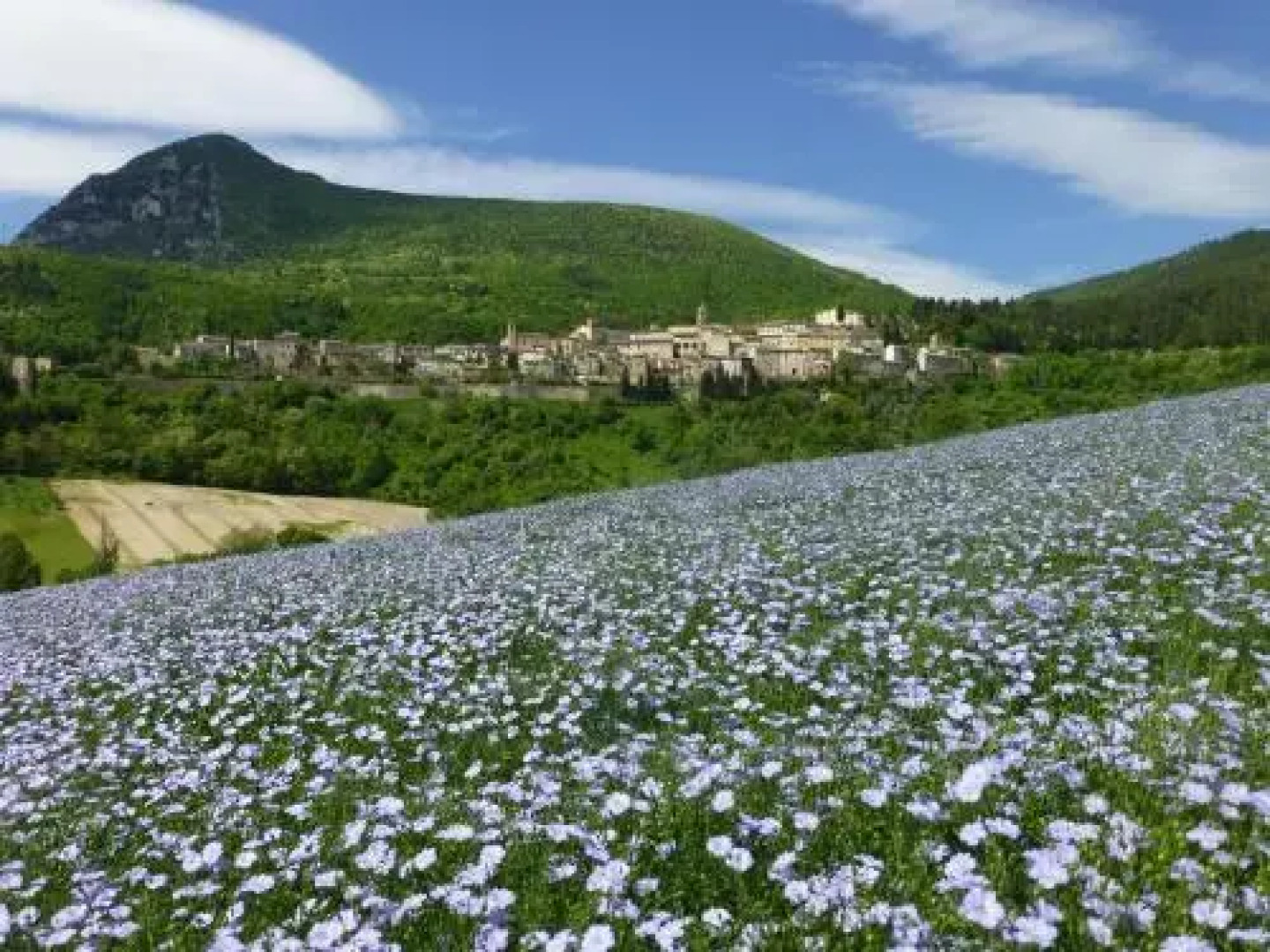 Country House Le Grazie