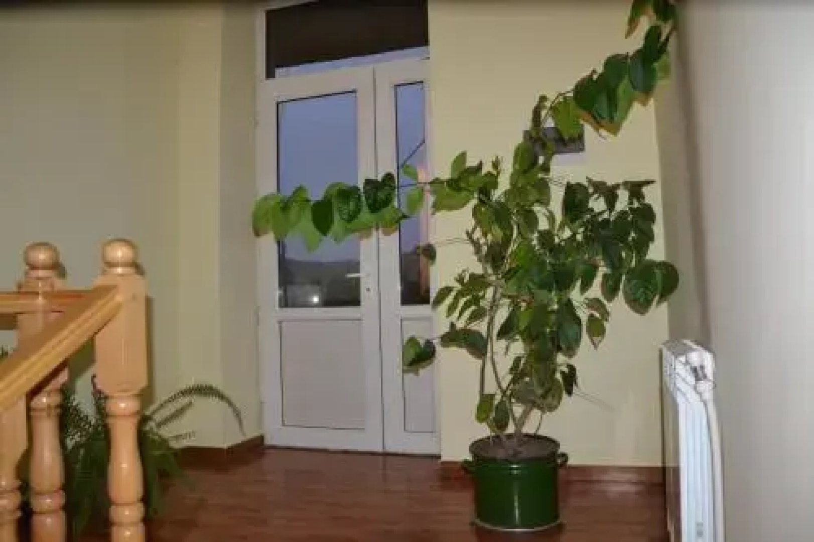 Guest House on Mashtoc 47
