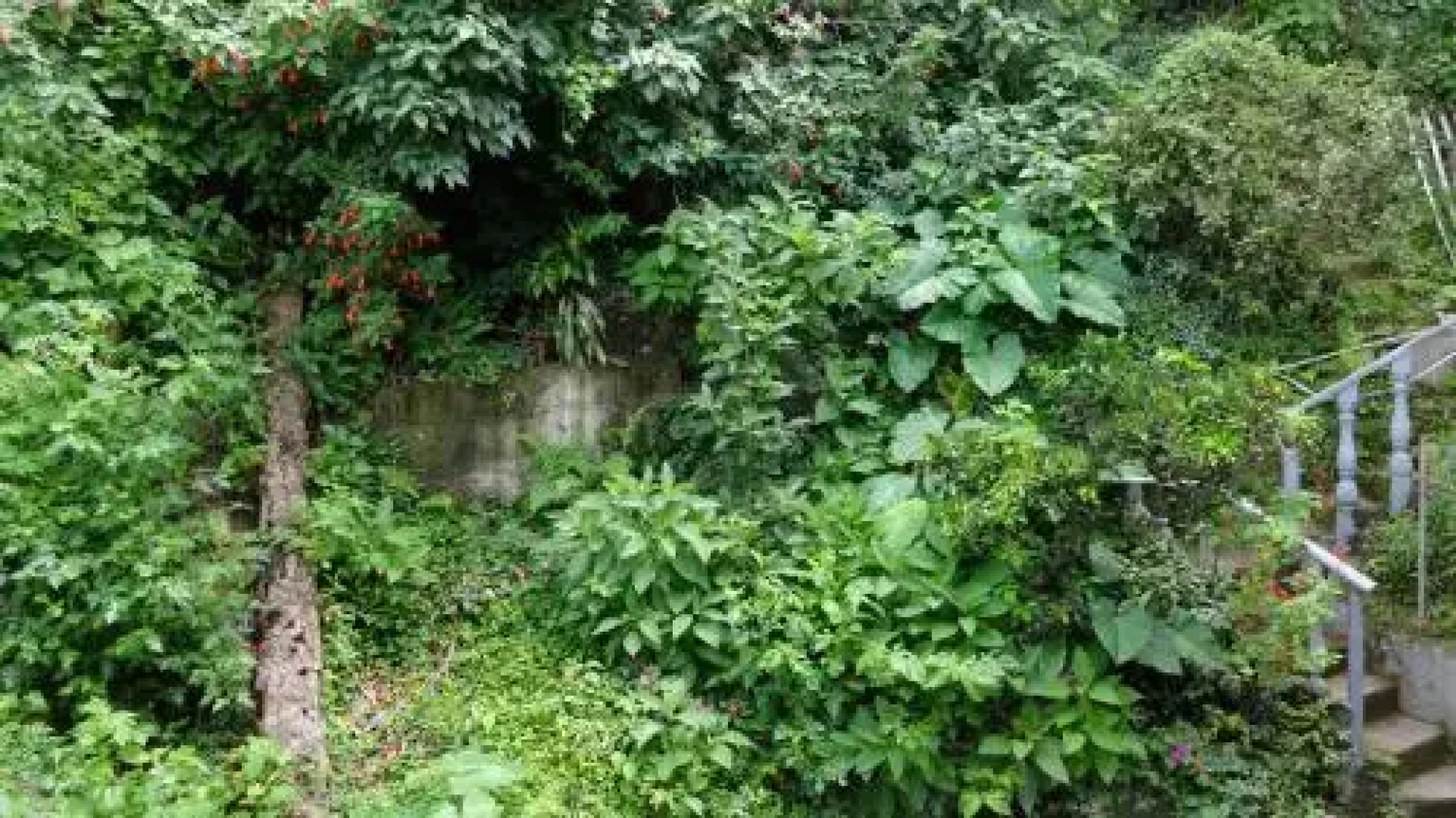 Pousada Rua Thereza
