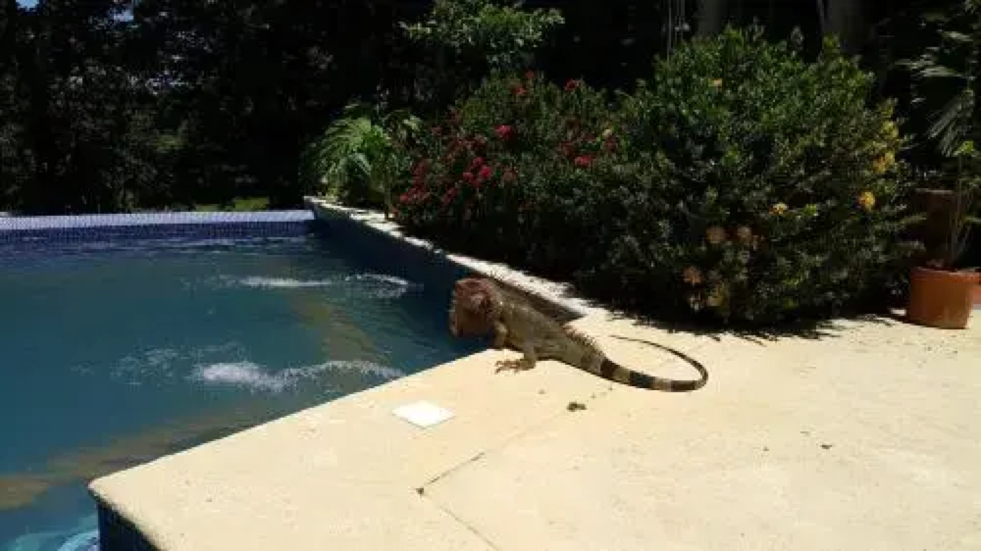 Casa Hotel Mare Nostrvm