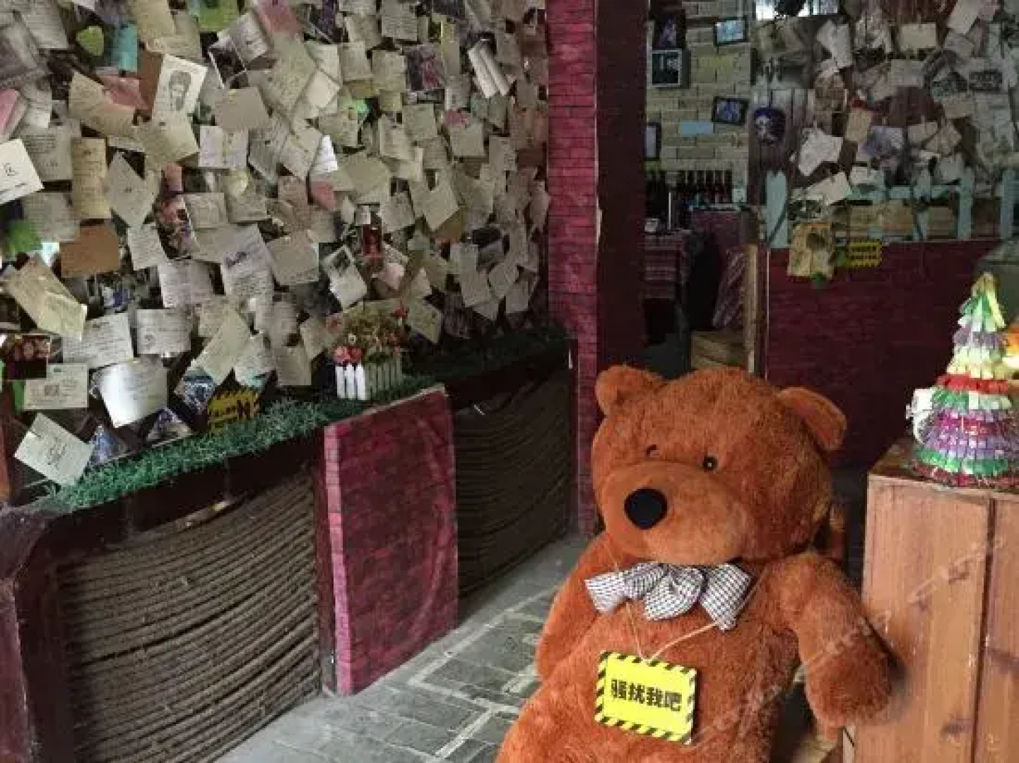 Fenghuang Border International Youth Hostel