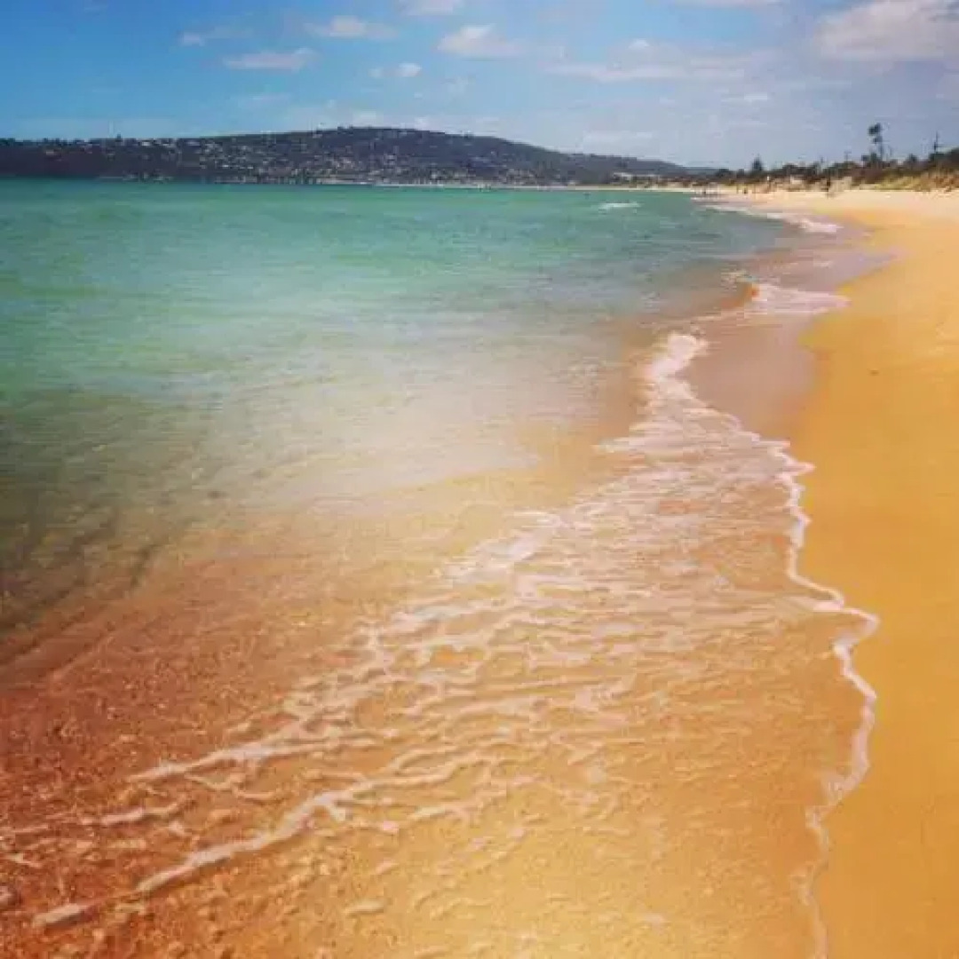 Luxury Retreat Just Above The Beach - The BeachNest