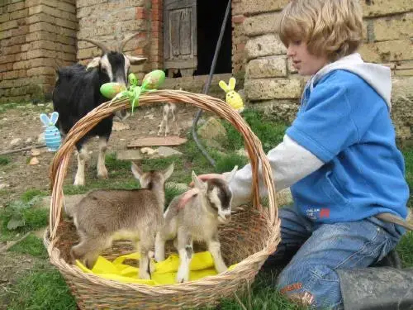 Agriturismo Podere Tegline